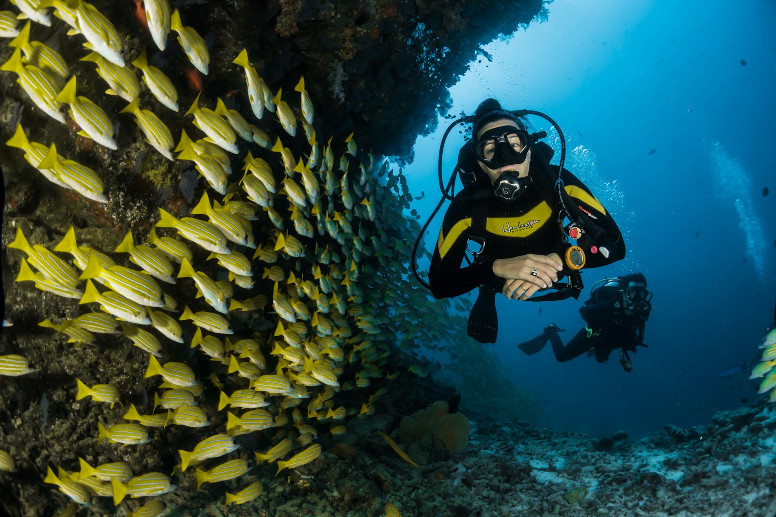 Buceo en los fondos volcánicos de la Costa Tropical